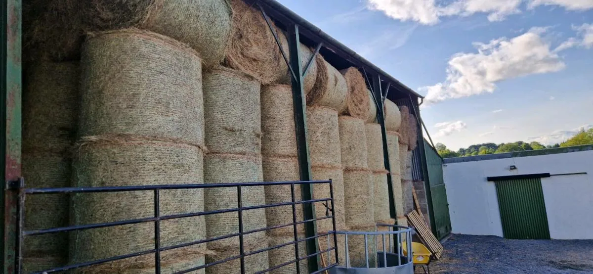 40 bales of hay. Baled in july 25