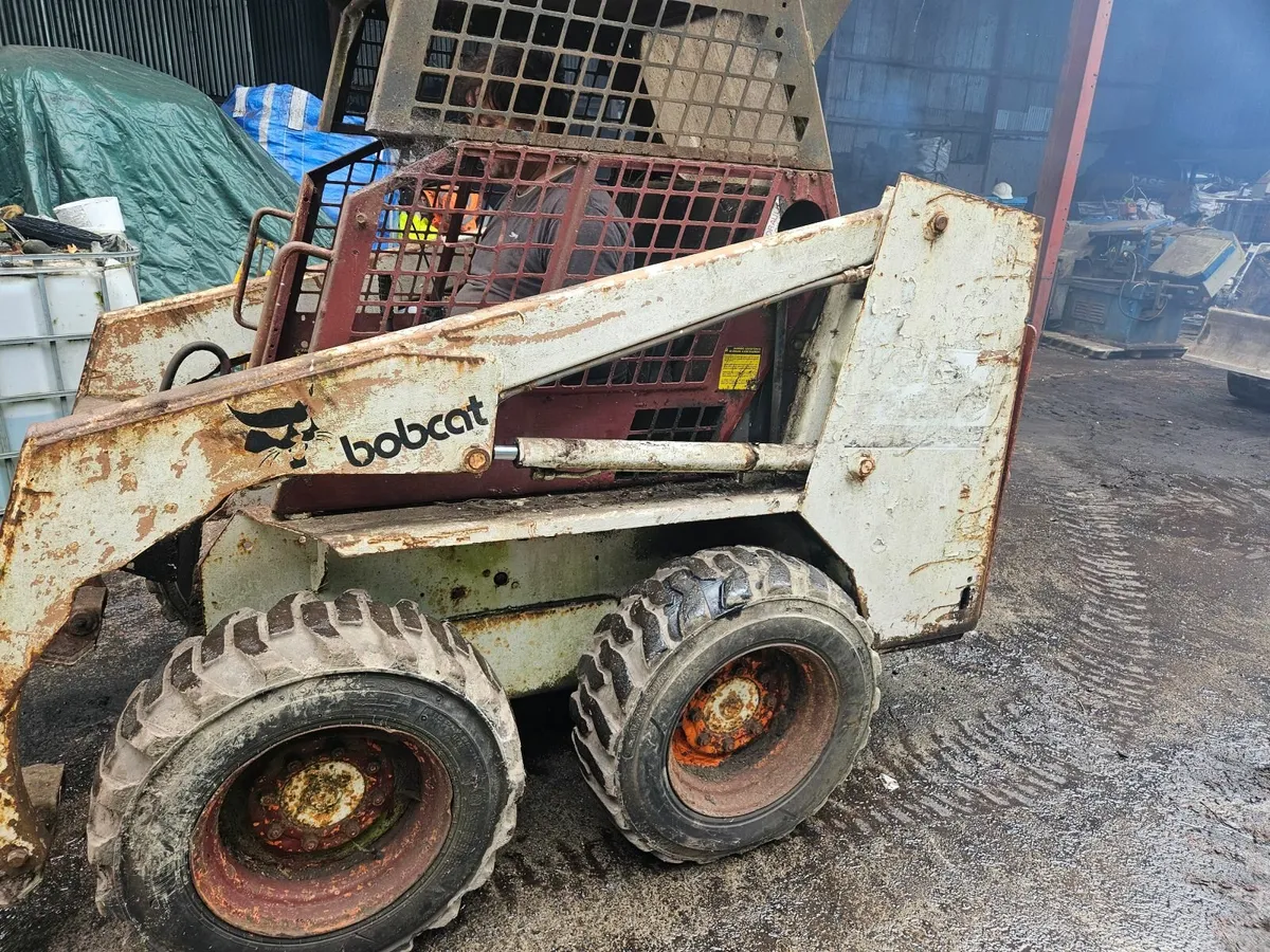Bobcat - Image 2