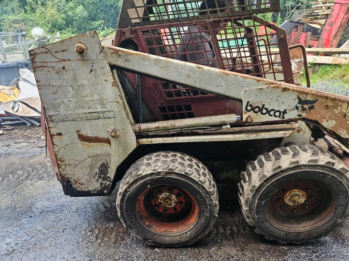 Bobcat - Image 4