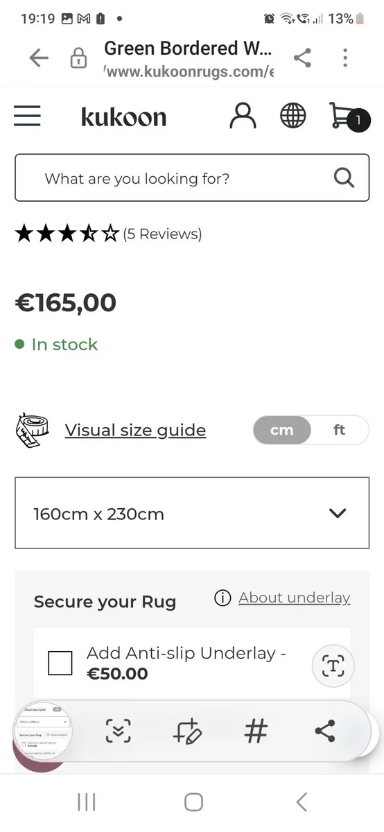 Sage Green rug - Image 2