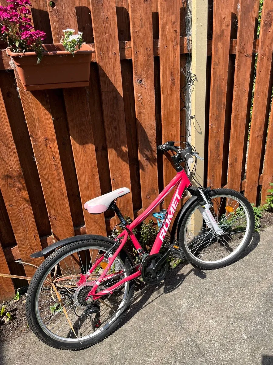Bicycle - Image 1