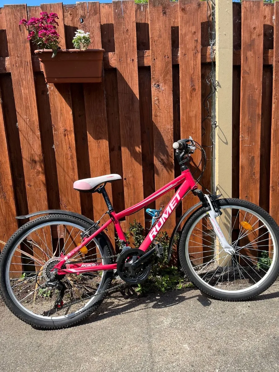 Bicycle - Image 2