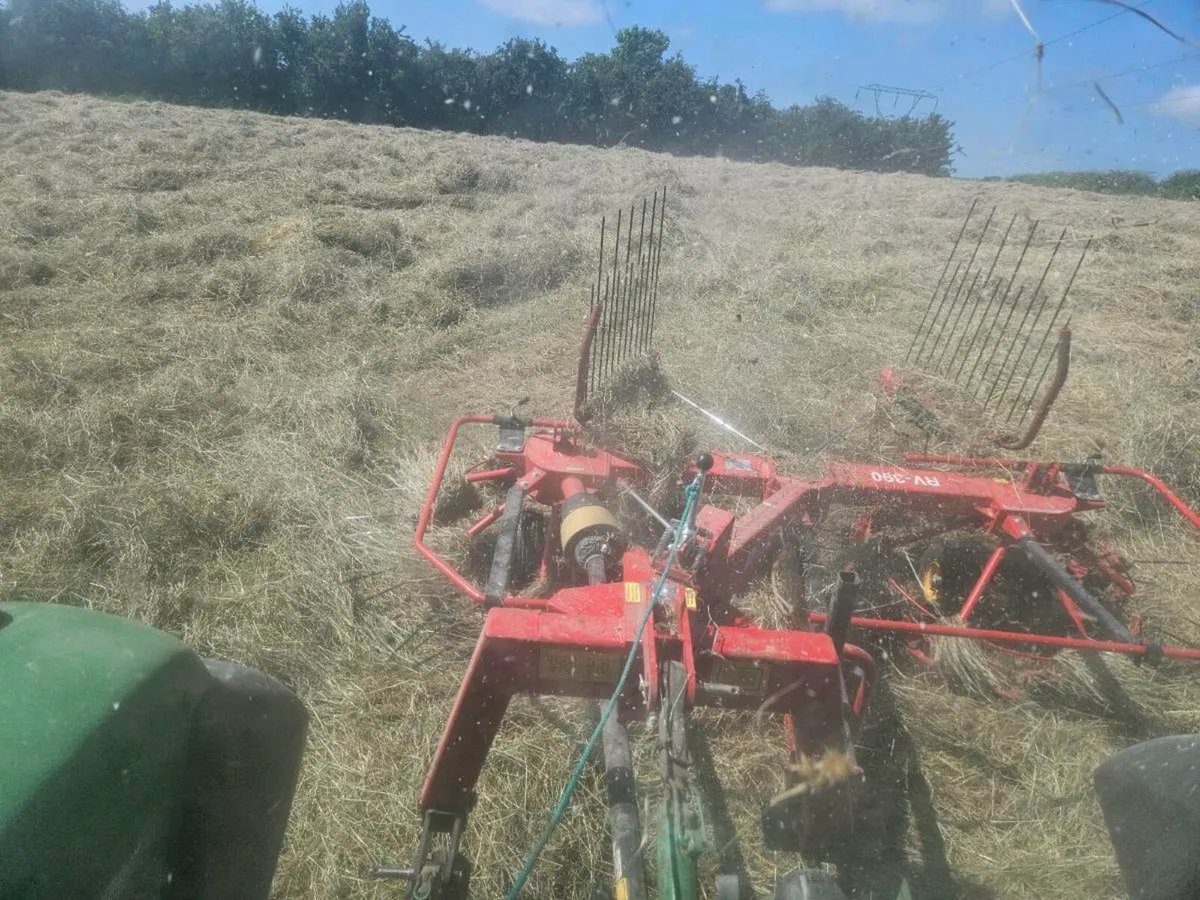 Hay - Image 2