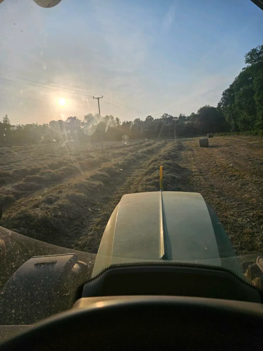 Hay - Image 3