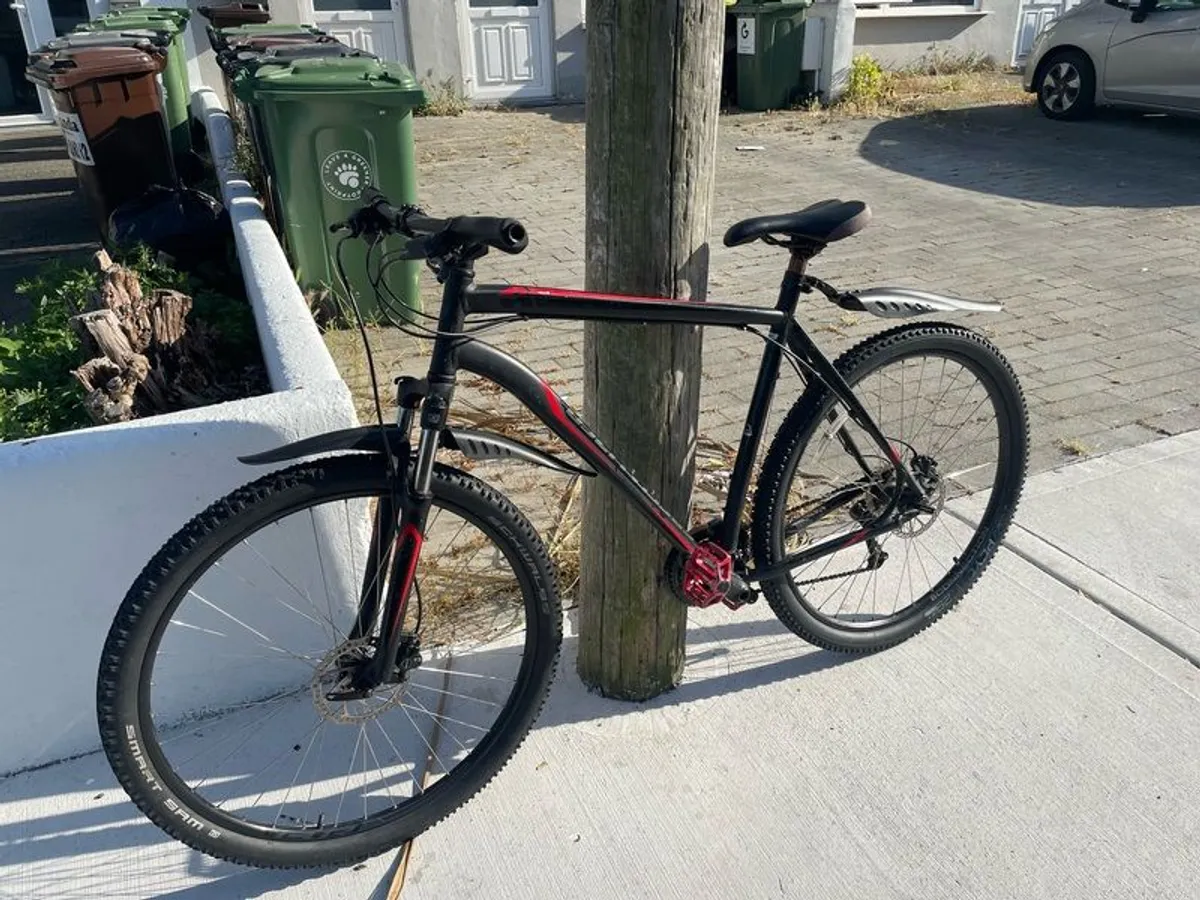 Bike Size XXL - Image 1