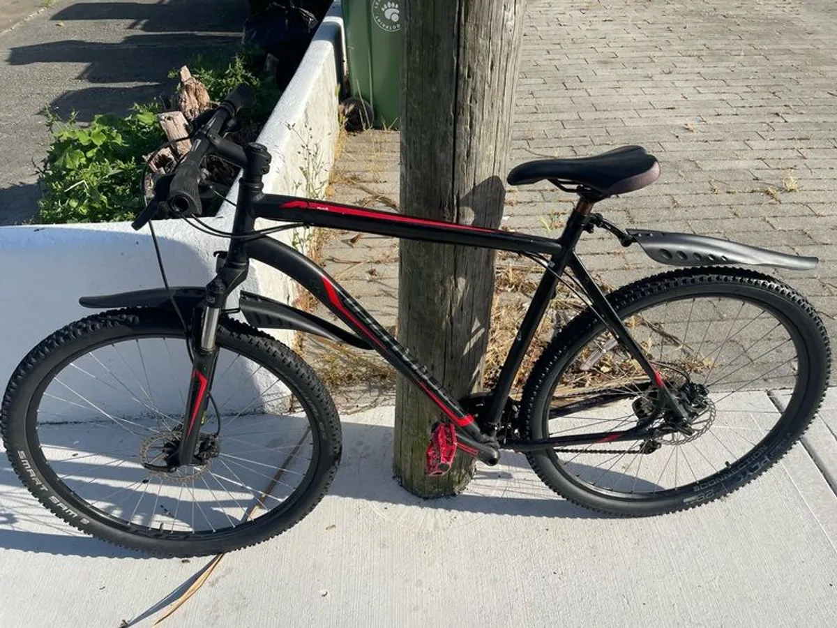 Bike Size XXL - Image 2