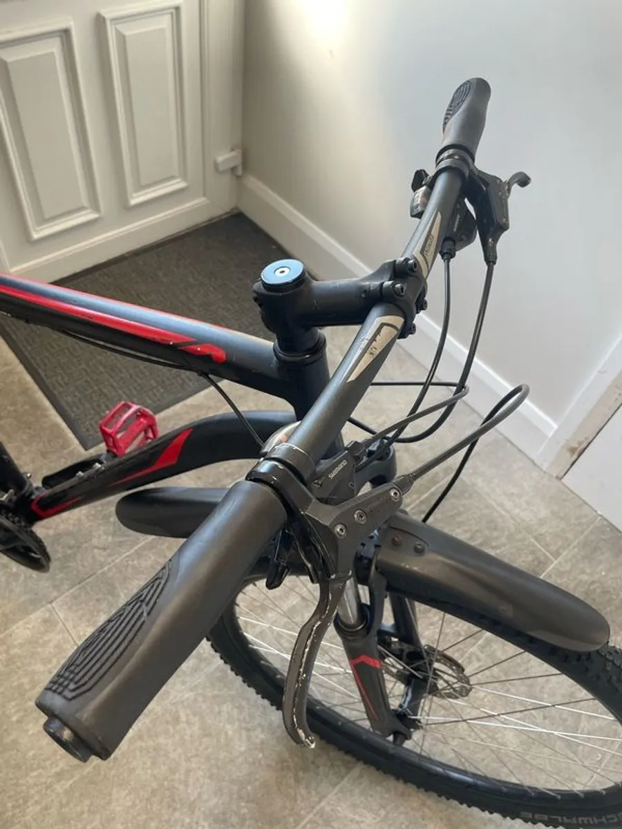 Bike Size XXL - Image 4