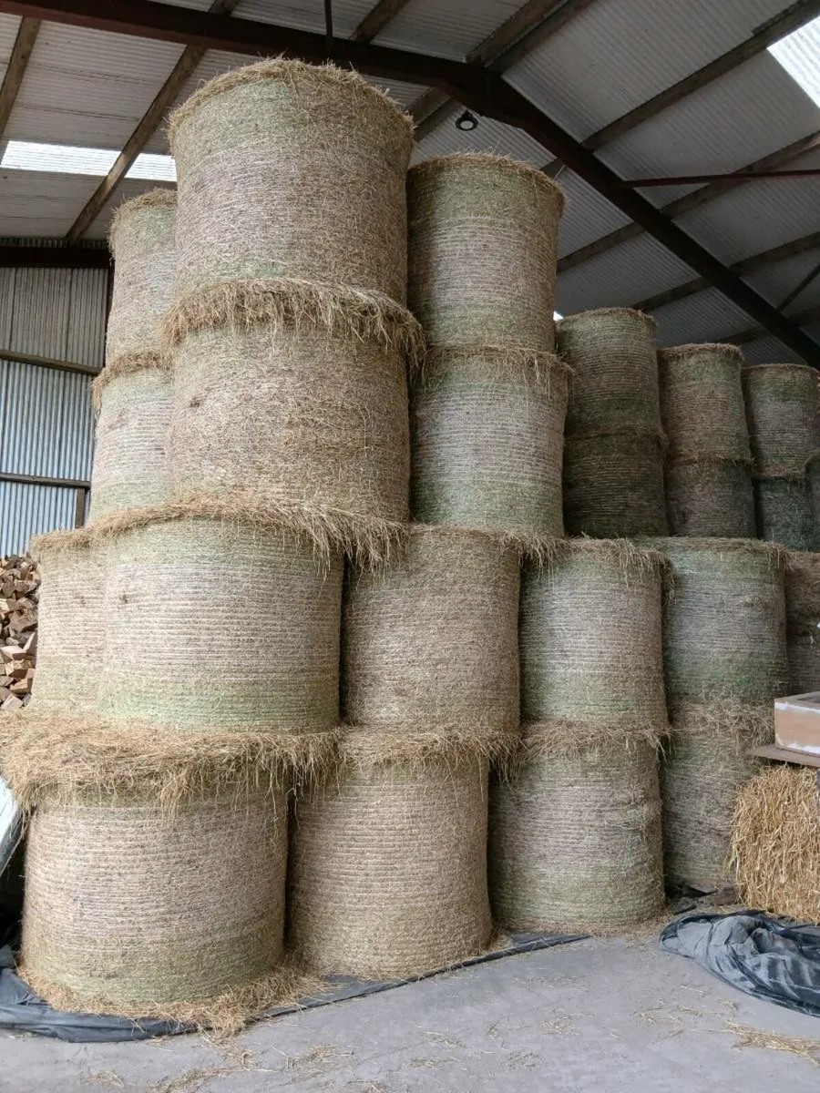 Hay 2025 - Image 1