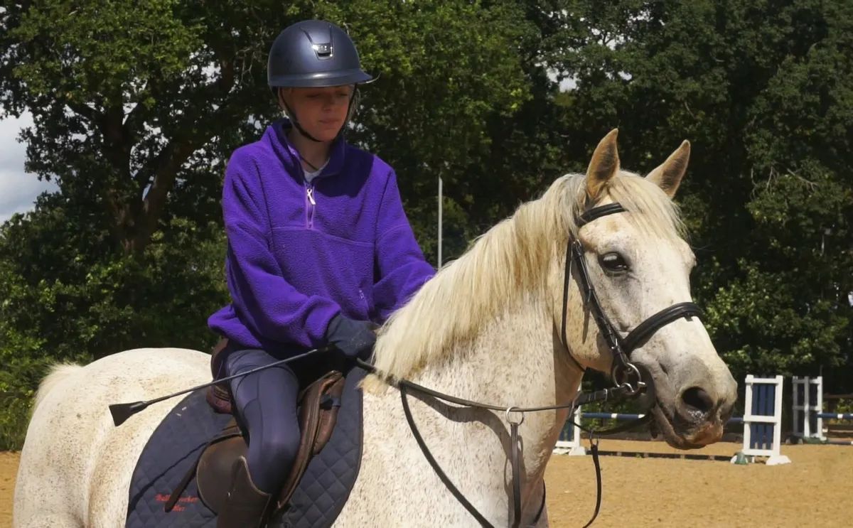 🌟 Schoolmaster Pony Club Pony 🌟 - Image 1
