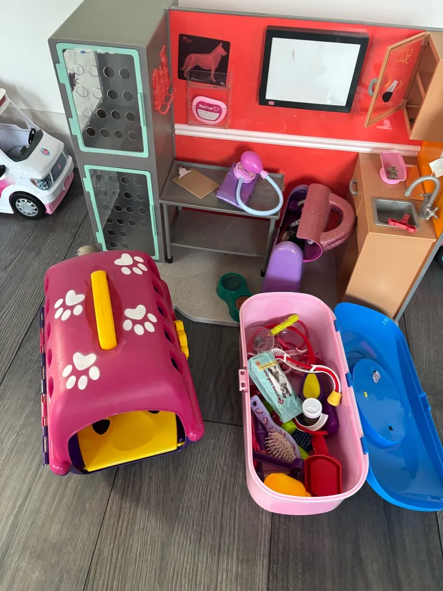 Veterinary clinic set