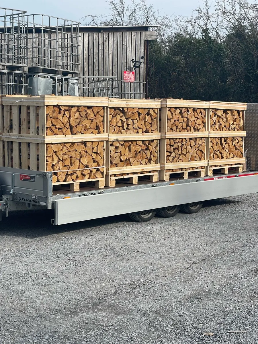 1m3 pallets of kiln dried ash - Image 3