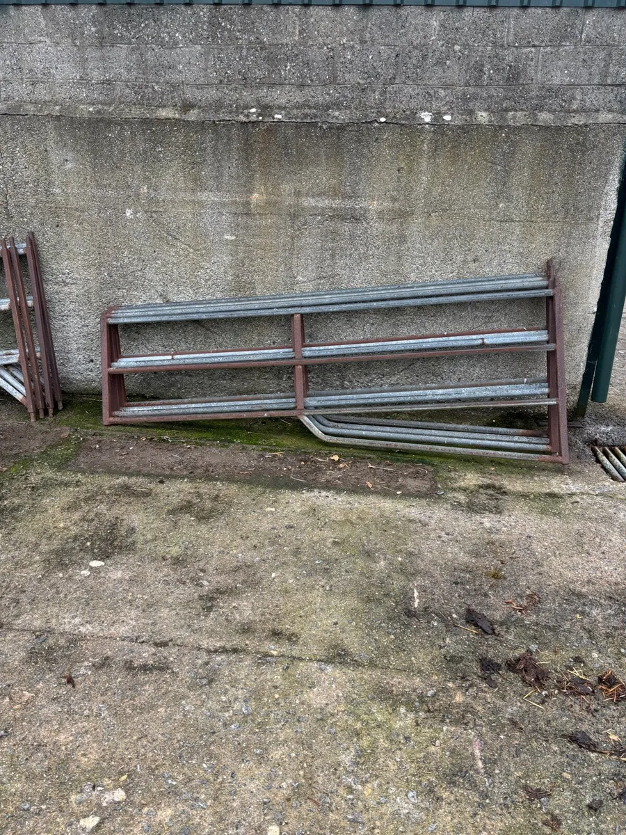 Gates - Image 4