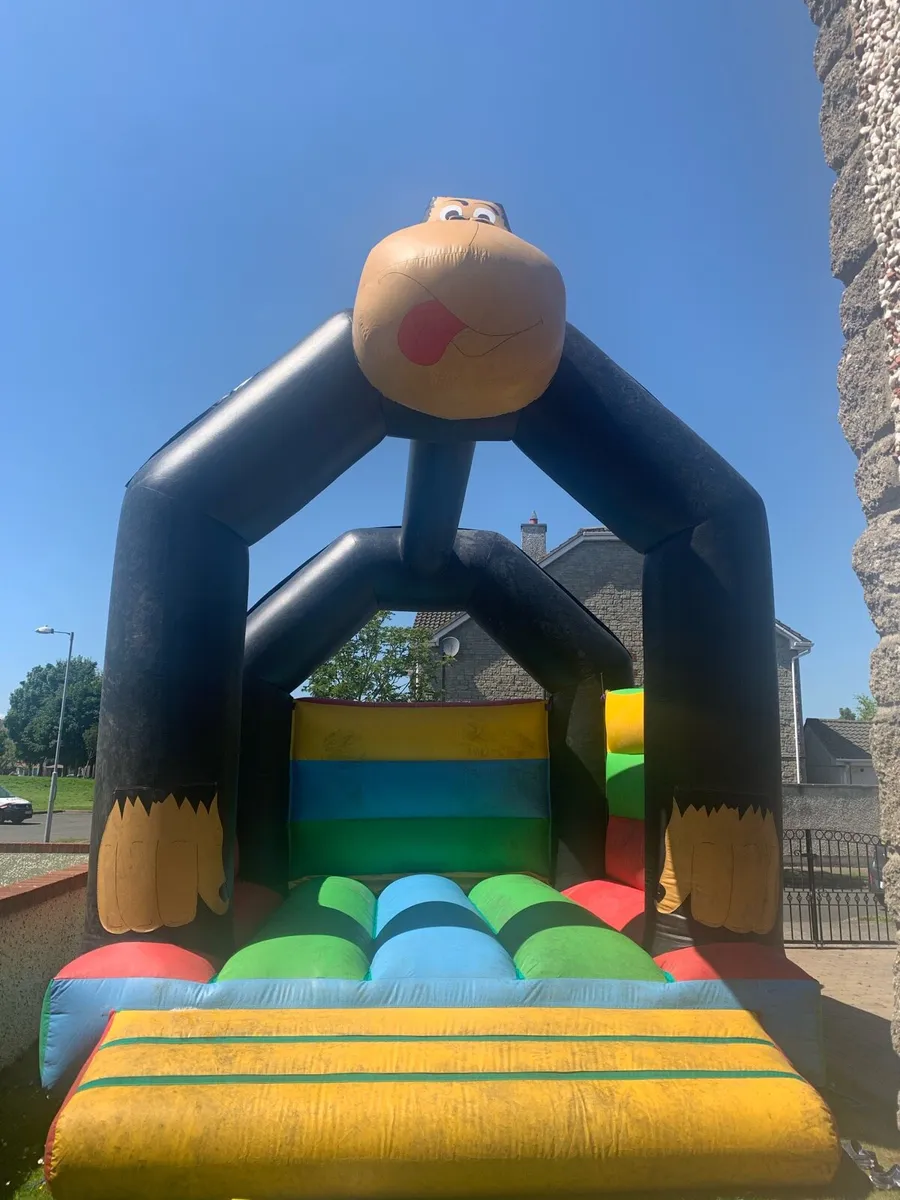 Bouncy castle - Image 1