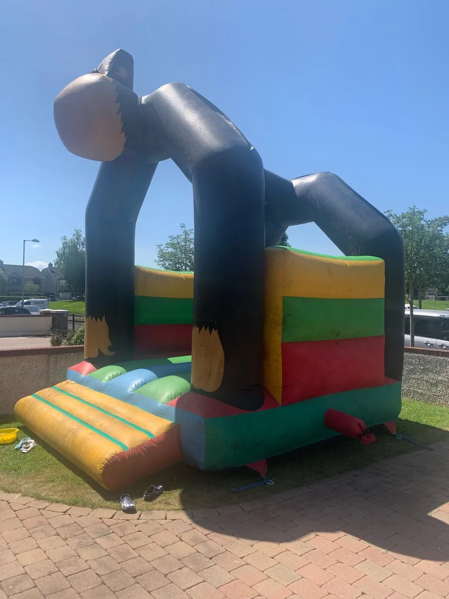 Bouncy castle - Image 4