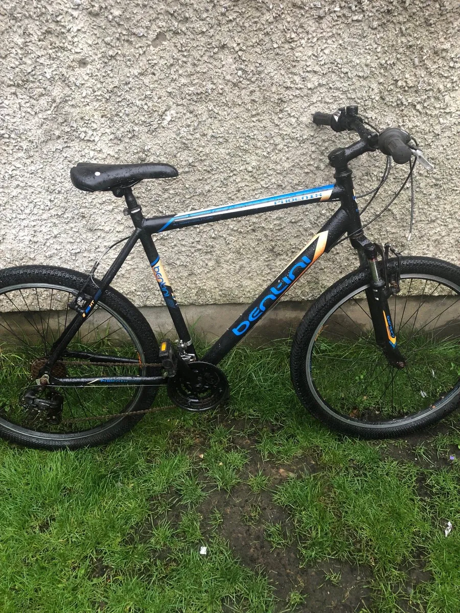 Bentini pheonix adult bike - Image 1