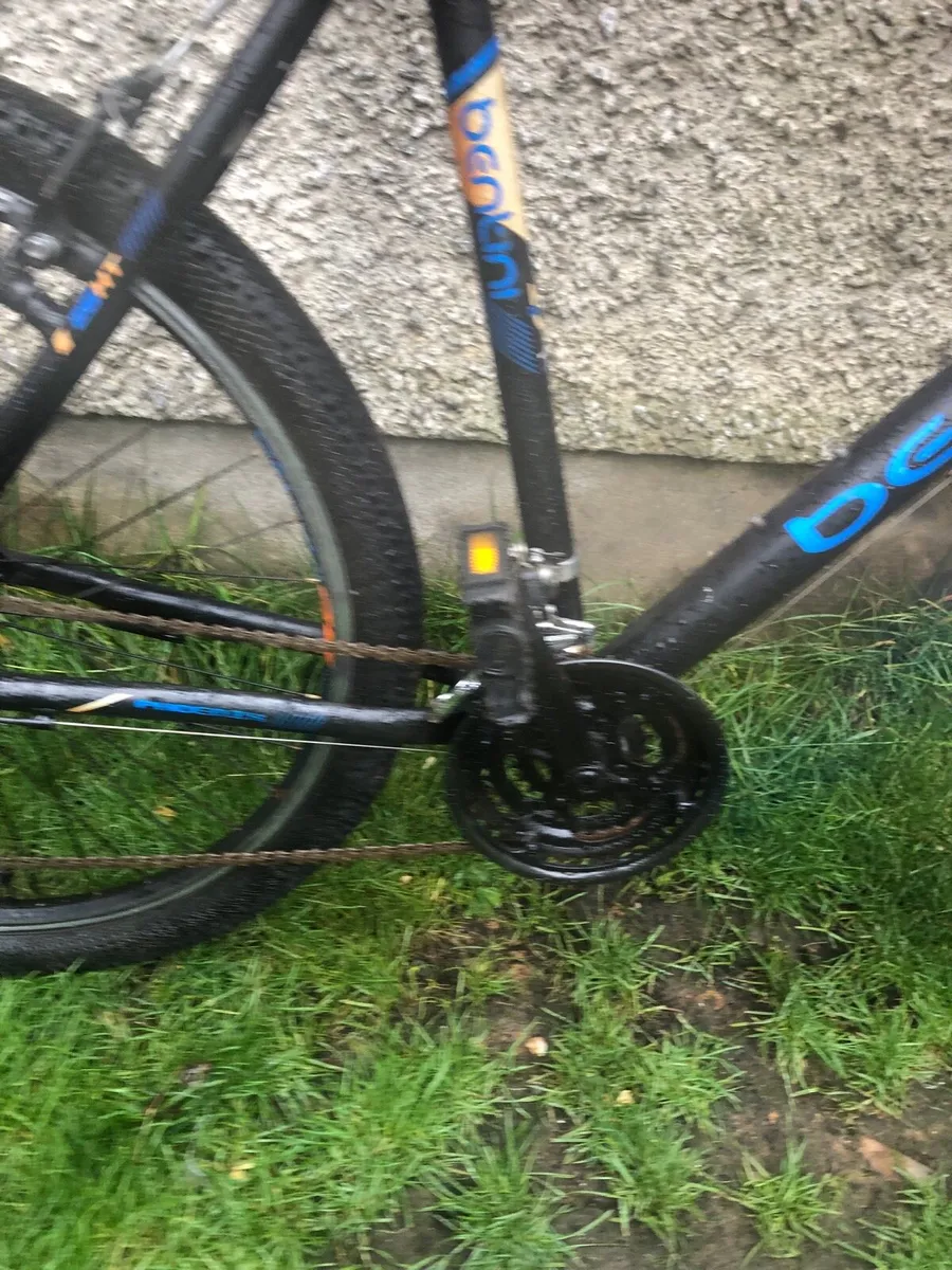 Bentini pheonix adult bike - Image 2