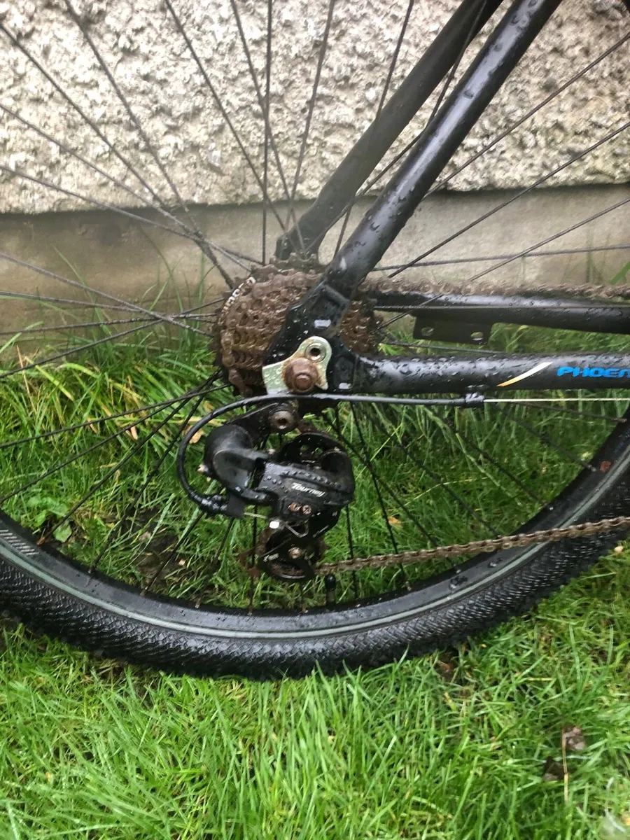 Bentini pheonix adult bike - Image 3
