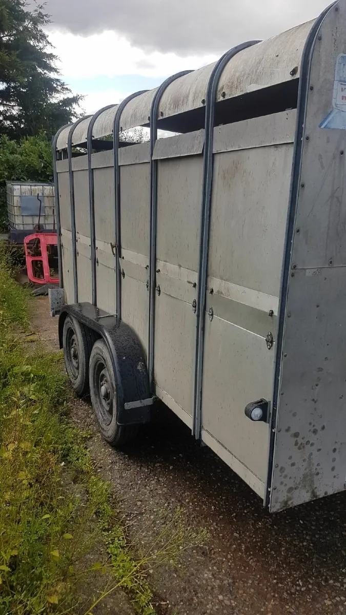 Ifor Willams 12x6 Cattle Box with Sheep Decks - Image 1