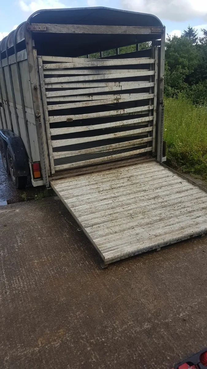 Ifor Willams 12x6 Cattle Box with Sheep Decks - Image 2