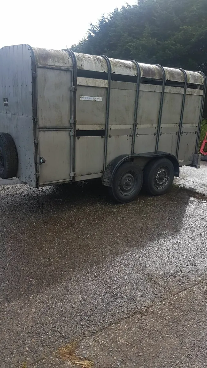 Ifor Willams 12x6 Cattle Box with Sheep Decks - Image 4