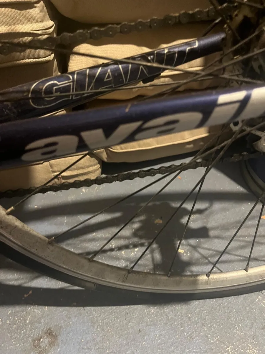 Giant avail Aluxx sl 6000 series butted tubing - Image 2