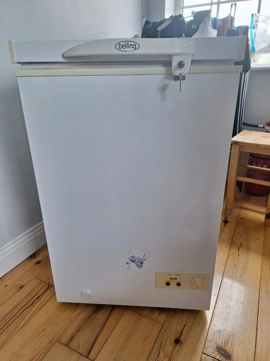Small freezer - Image 1