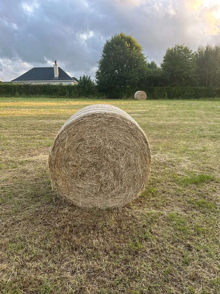 Hay For Sale - Image 1