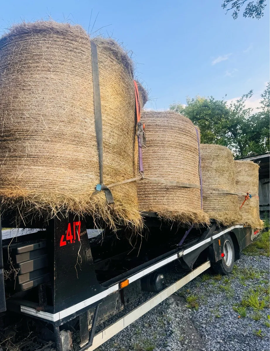 Hay For Sale - Image 4