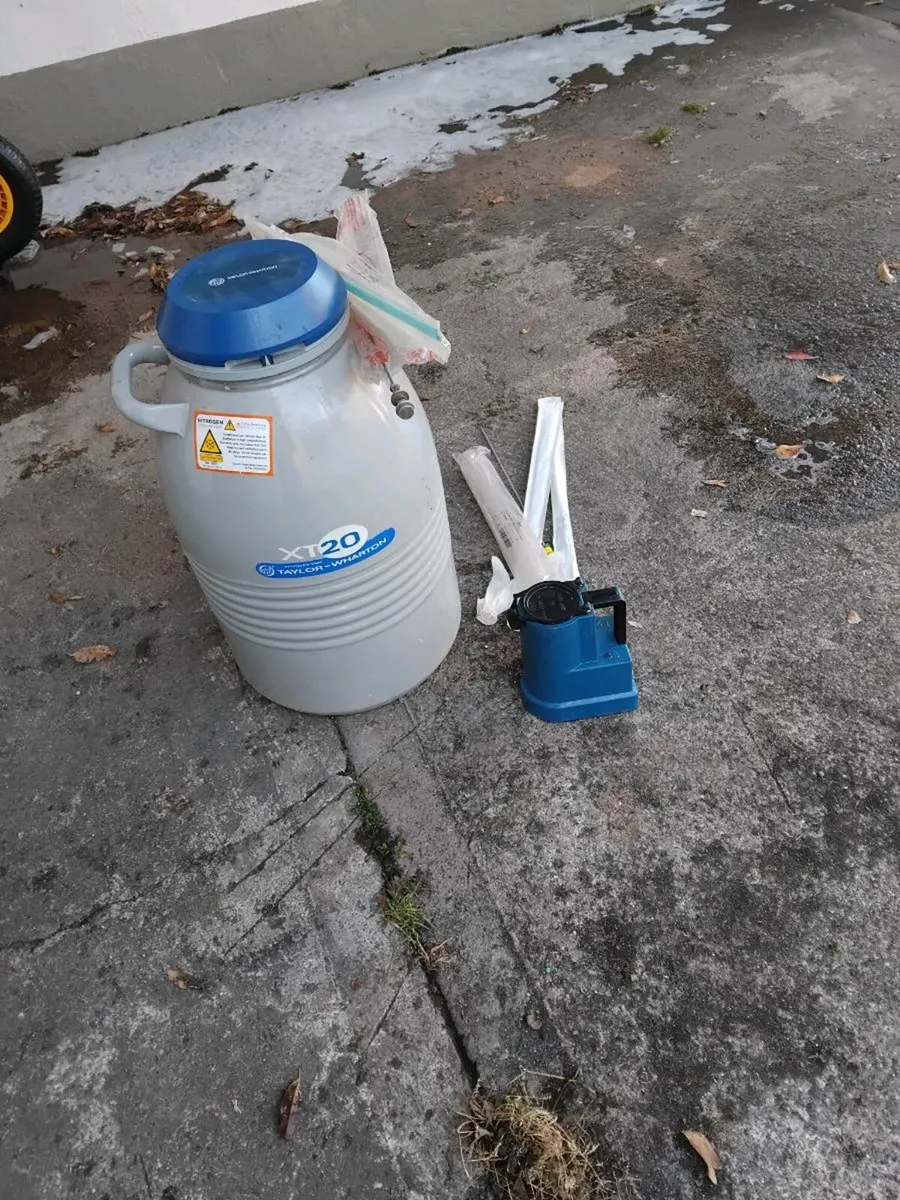 AI Flask