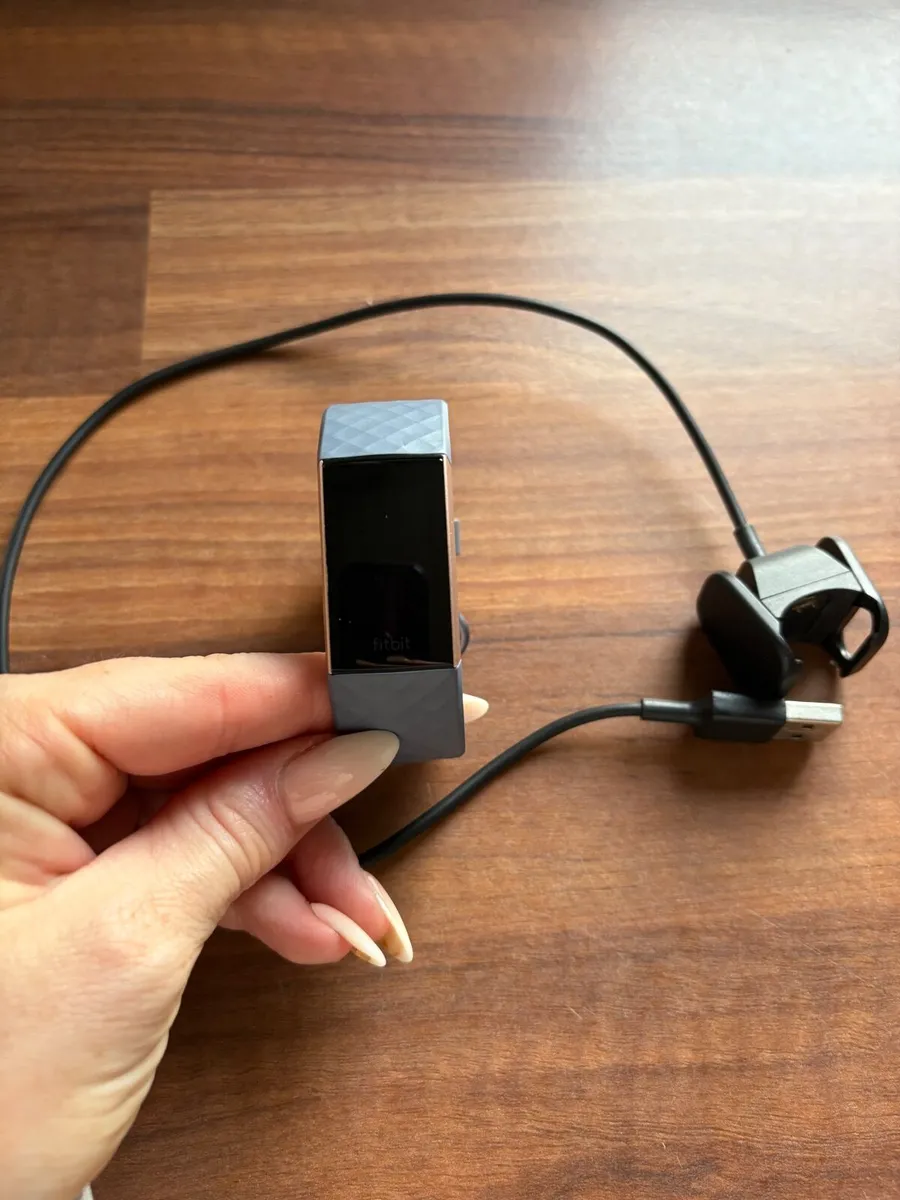 Fitbit - Image 1