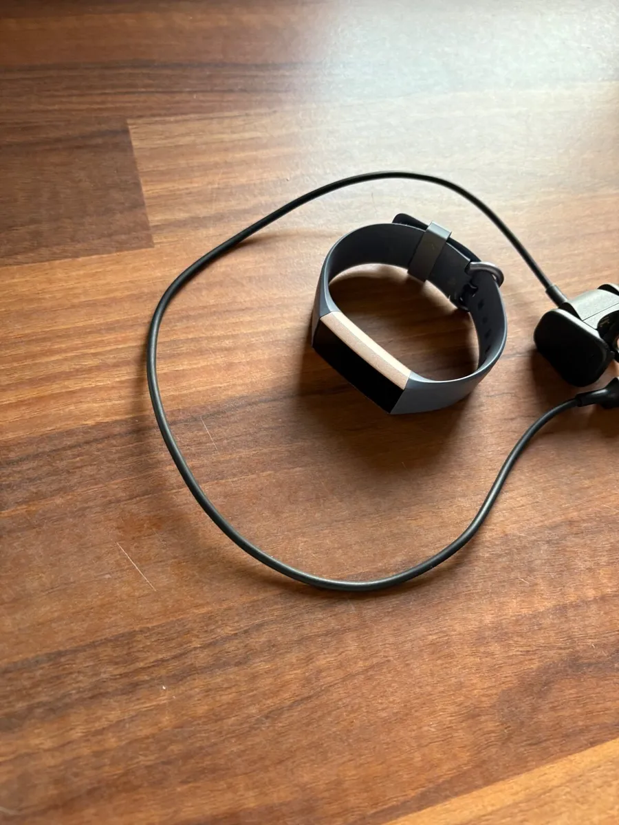 Fitbit - Image 2