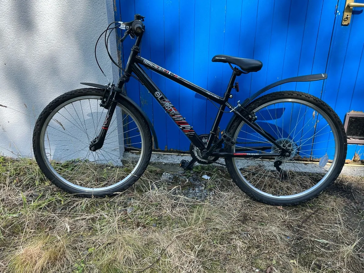 Young Teen Bicycle - Image 1