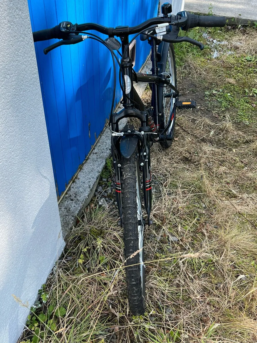 Young Teen Bicycle - Image 2