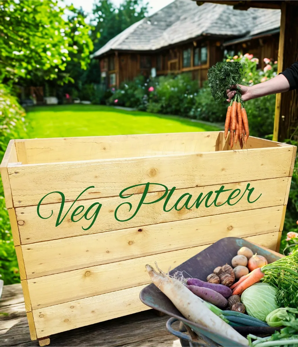 Planter - Image 4