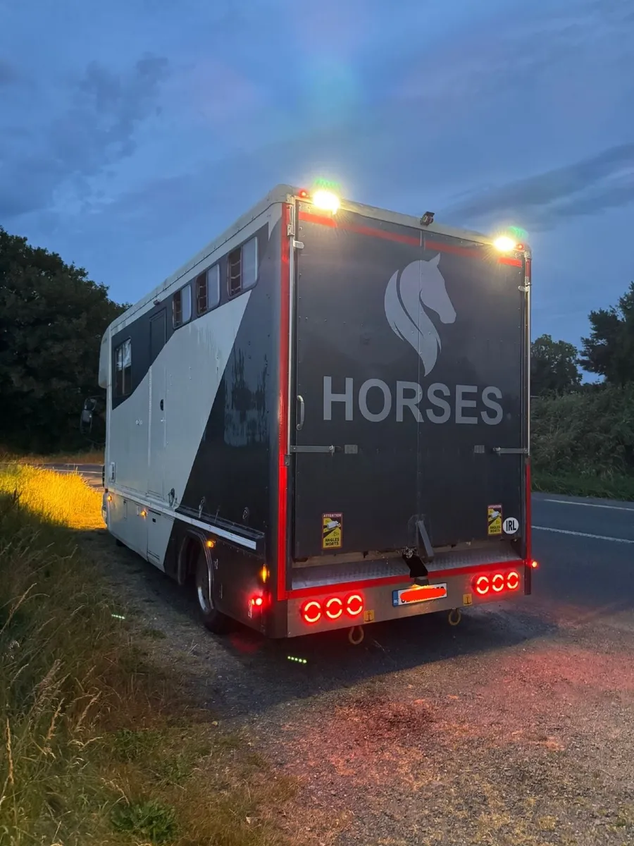 DAF LF Horse Lorry - Image 2
