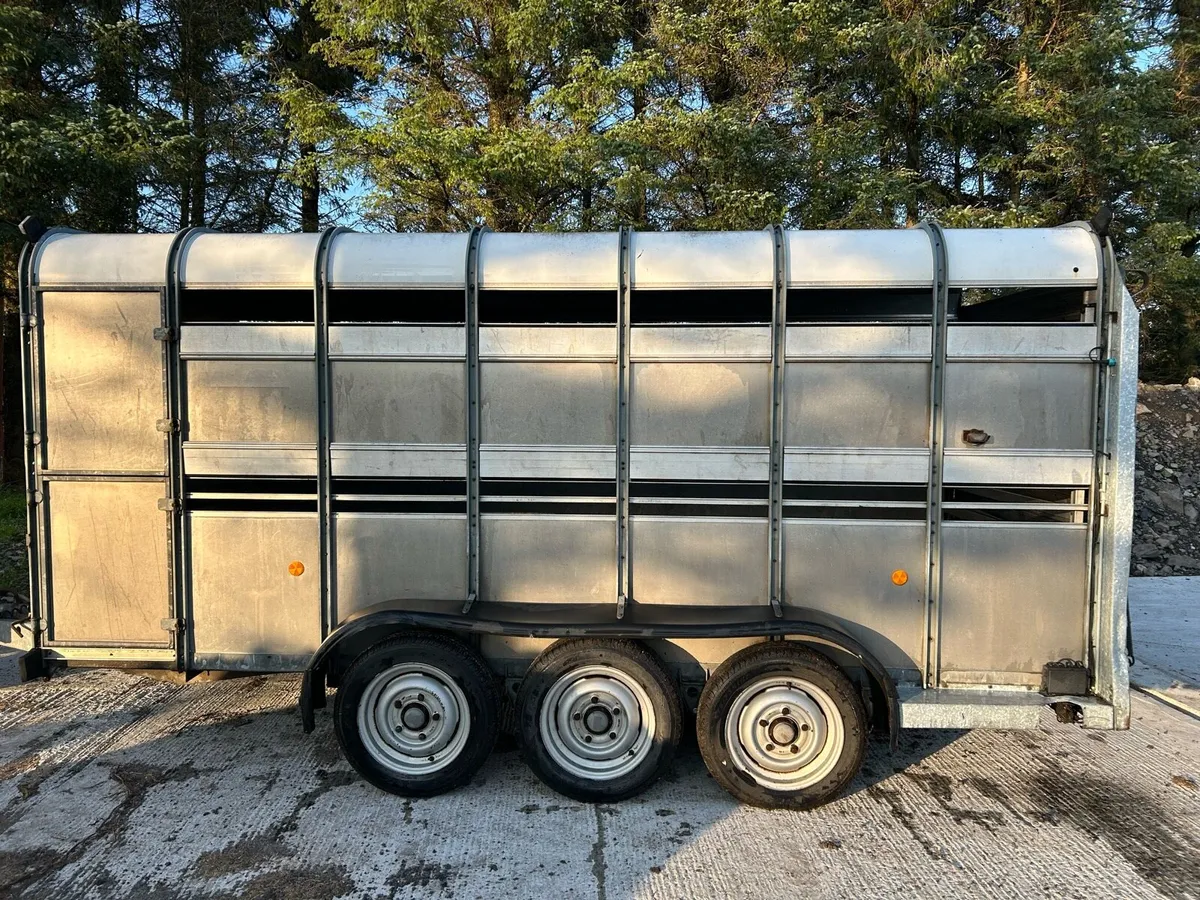 IFor Williams Trailer - Image 1