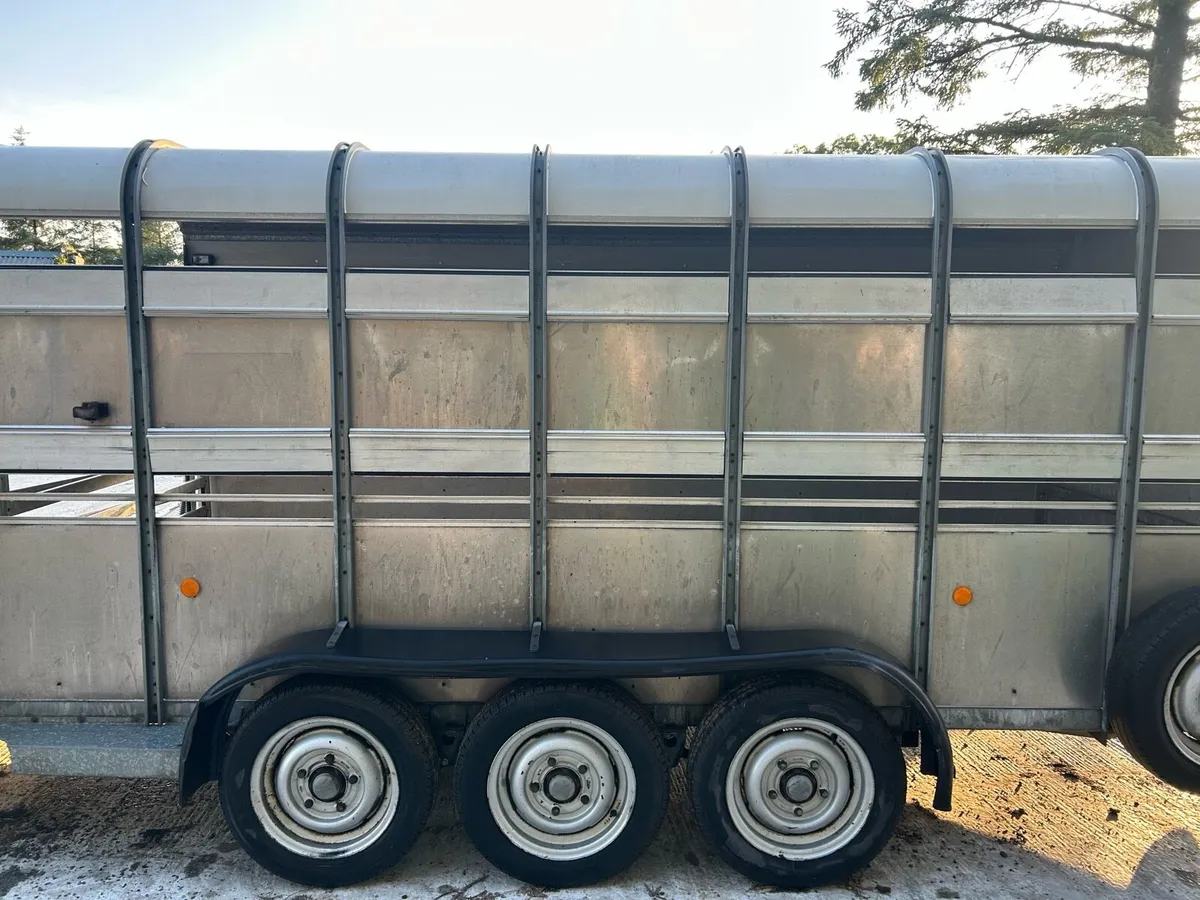 IFor Williams Trailer - Image 2