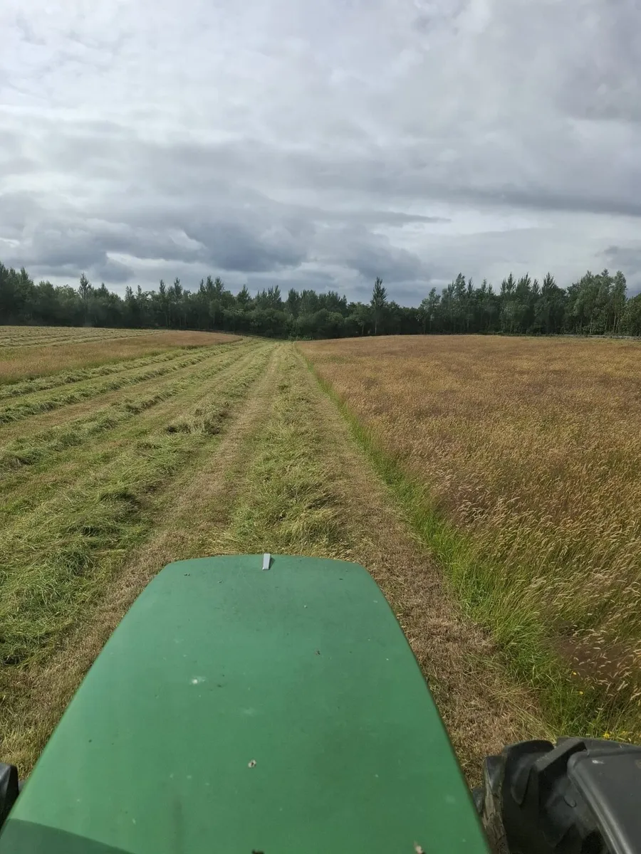 Organic Hay for sale - Image 2