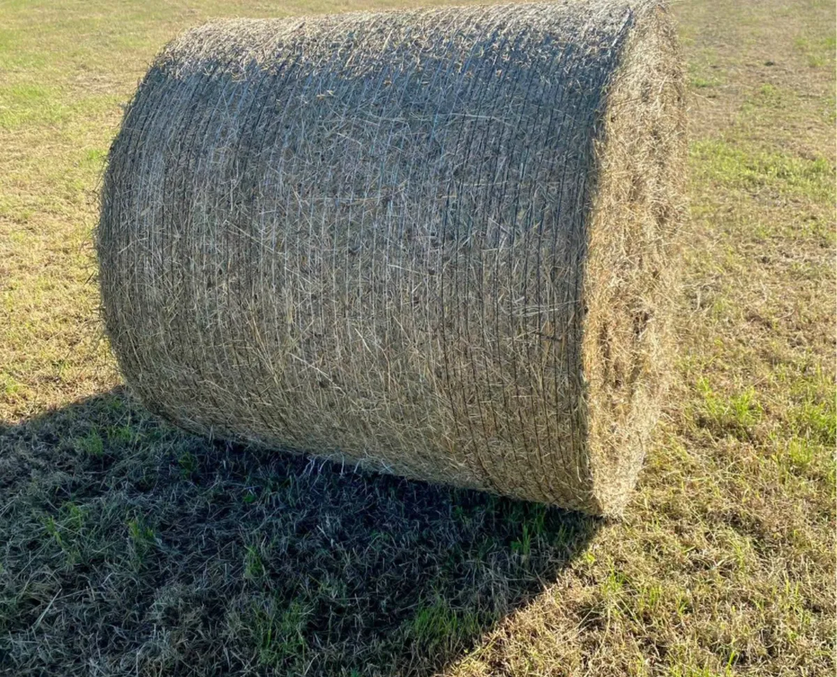 Bales of hay