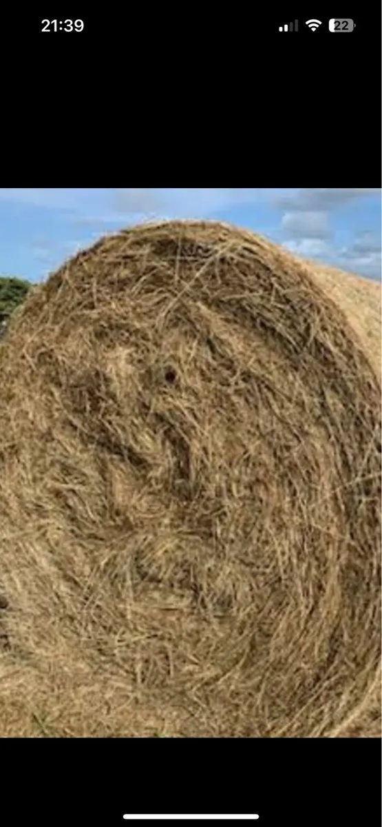 4x4 round bales of hay