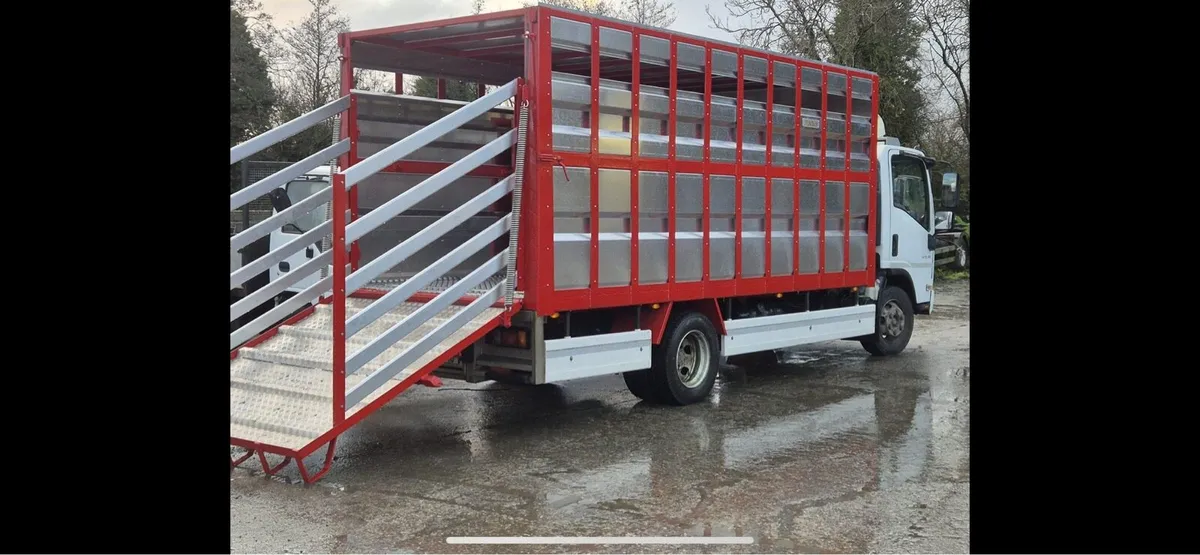 Cattle trailers - Image 1