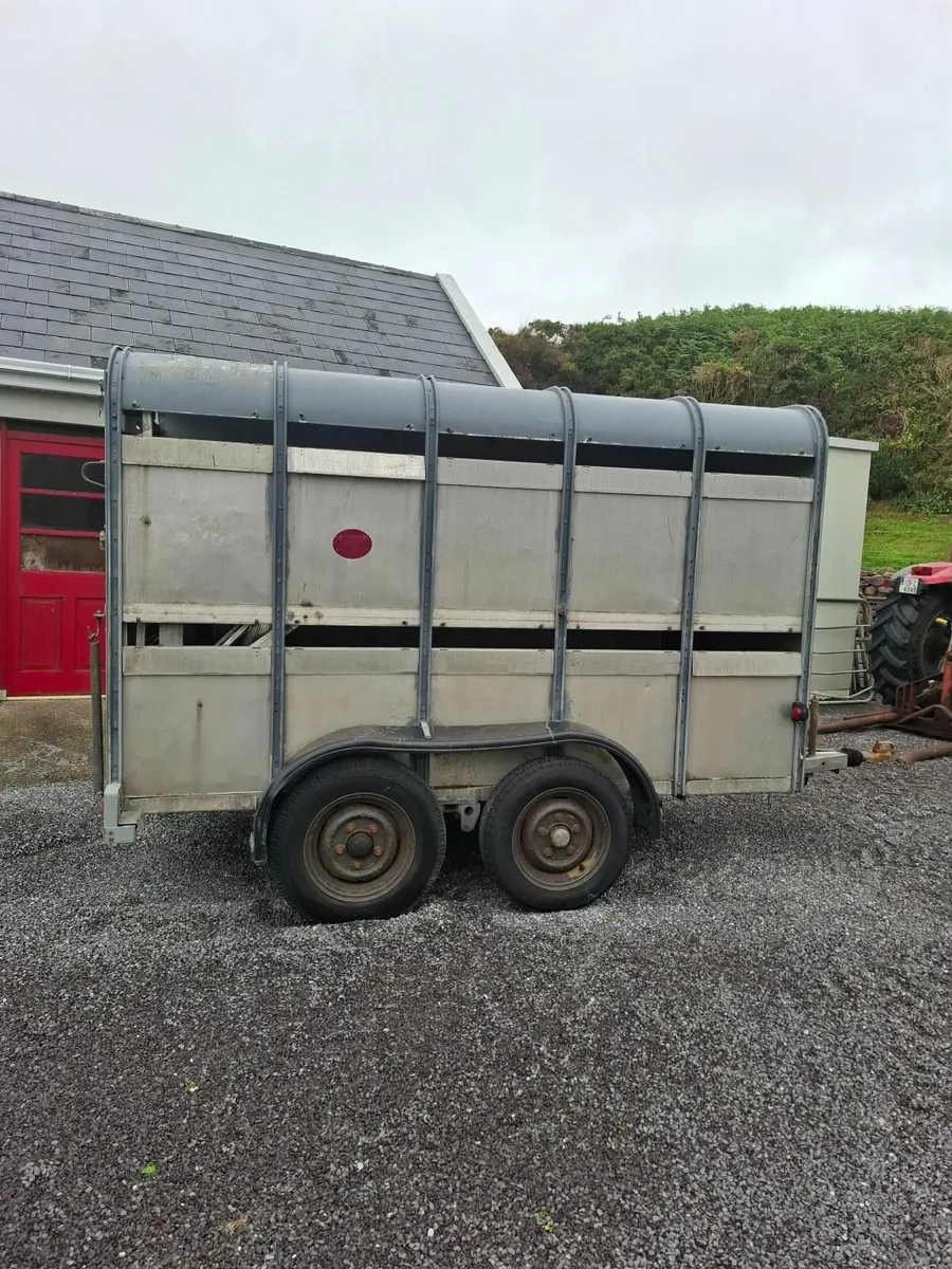 Ifor Williams 10x5 Cattle Sheep trailer - Image 1