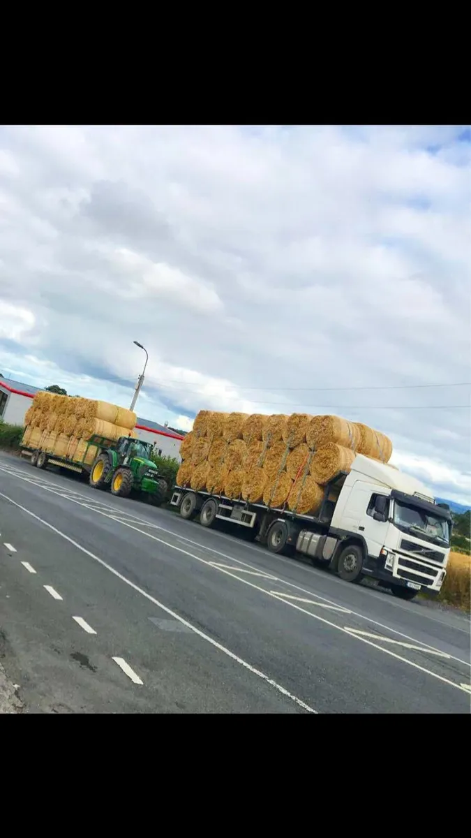 straw - Image 1