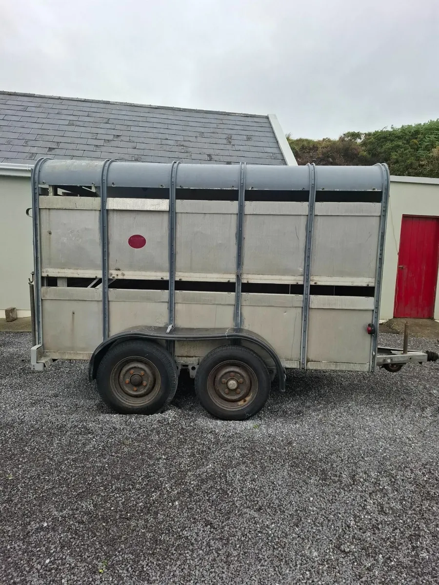 Ifor Williams 10x5 Cattle Sheep trailer - Image 2