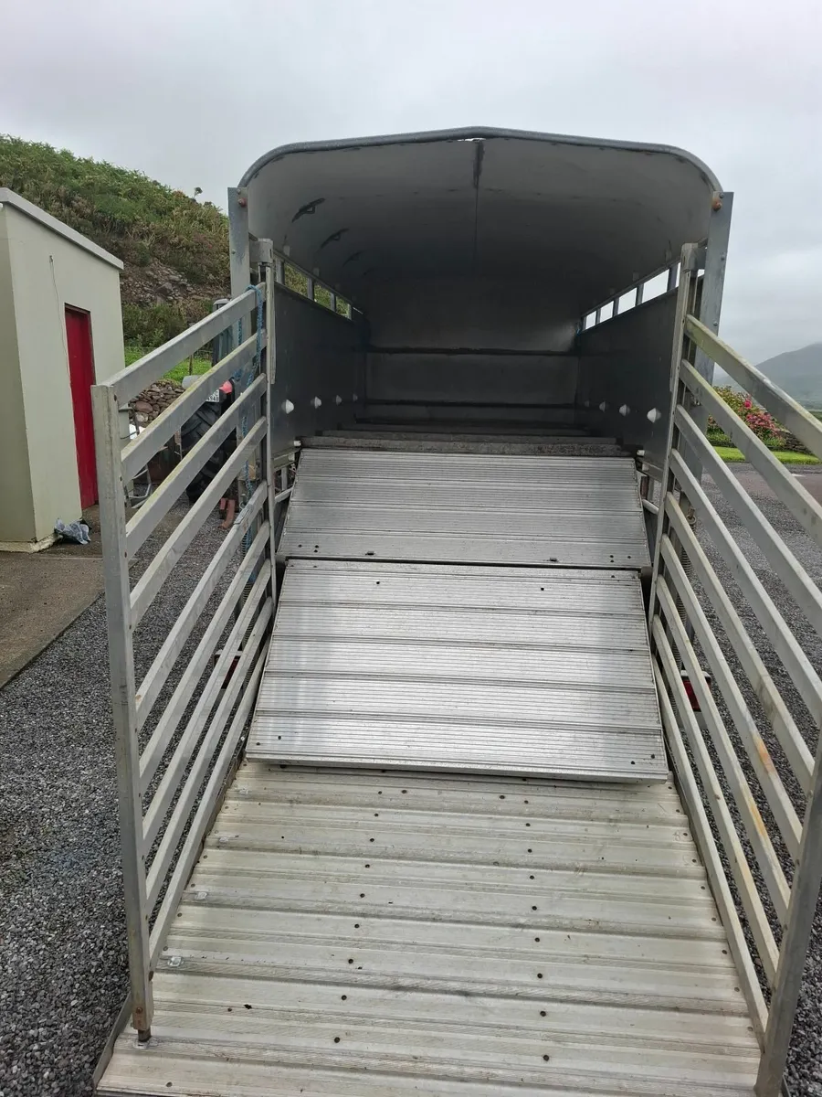 Ifor Williams 10x5 Cattle Sheep trailer - Image 3