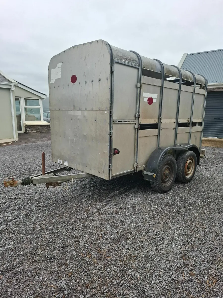 Ifor Williams 10x5 Cattle Sheep trailer - Image 4