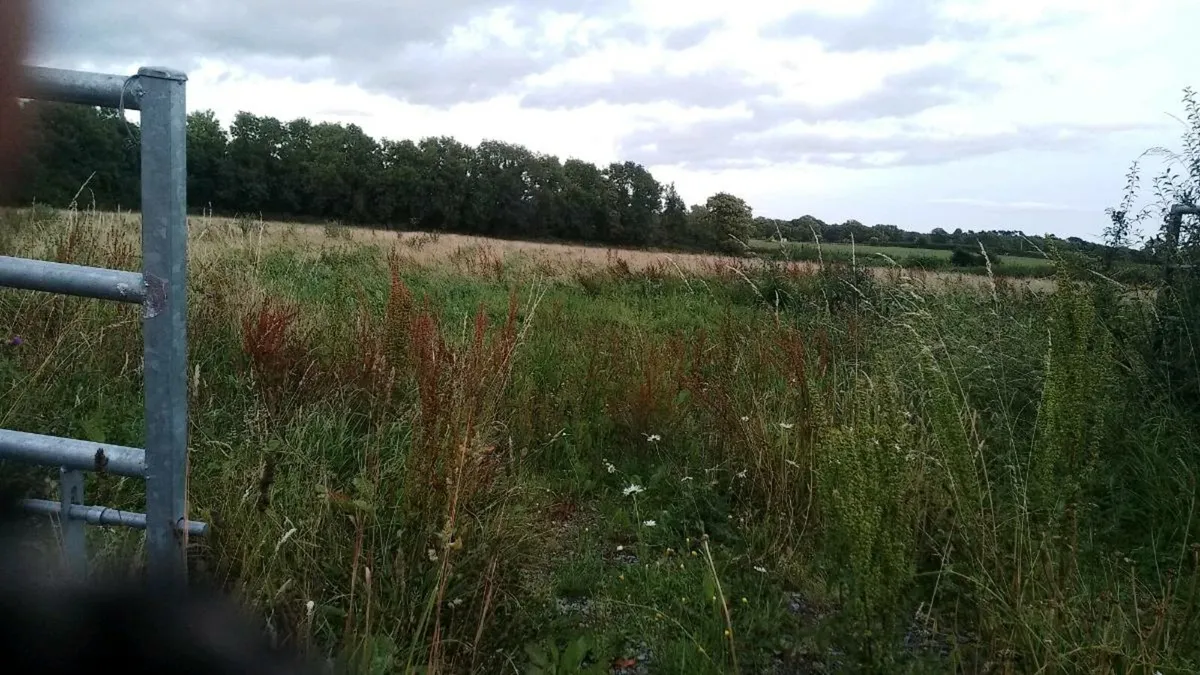 Grass.3.5 ac