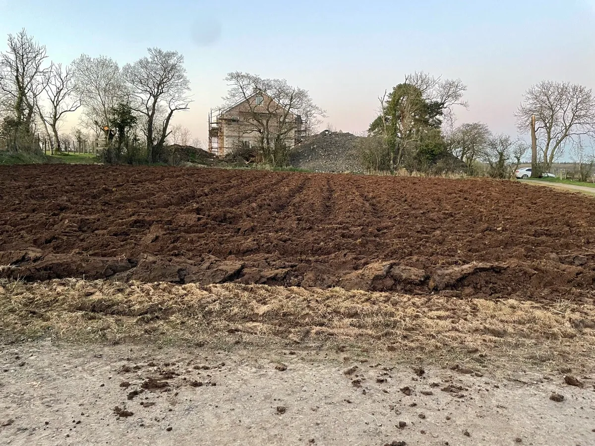 Digger hire - Image 4