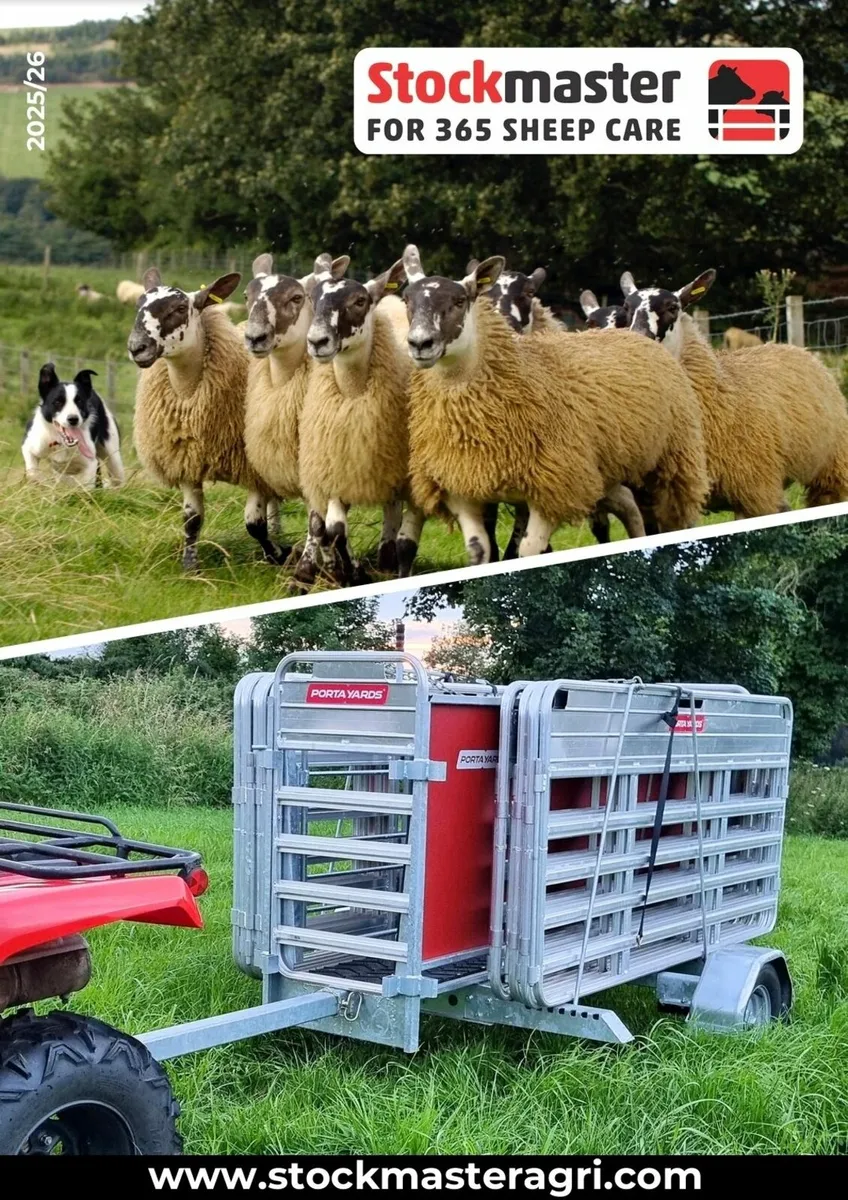 Stockmaster For 365 Sheep Care - Image 1