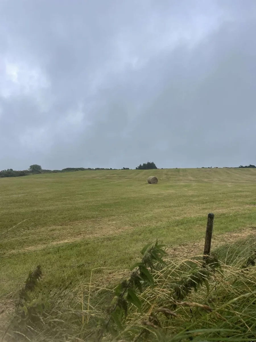 Bales - Image 2